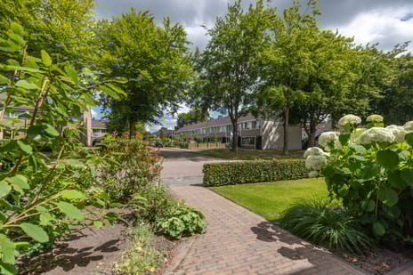 De Leijen 48 tertiary image