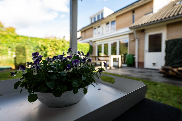 Foto 34 van Regentenland 41