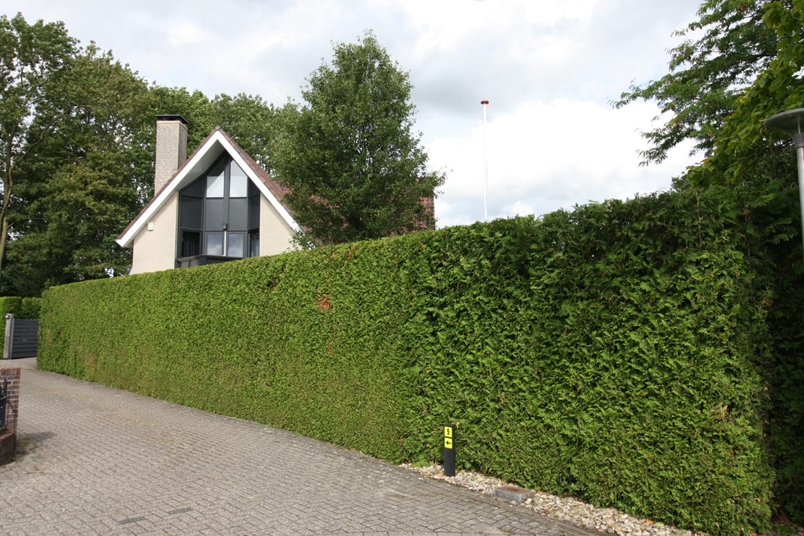 Foto 57 van Buitenhof 9