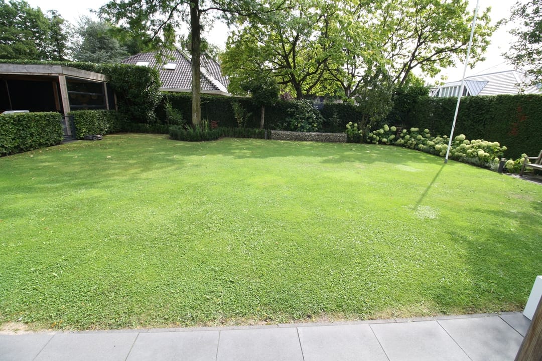 Foto 77 van Buitenhof 9