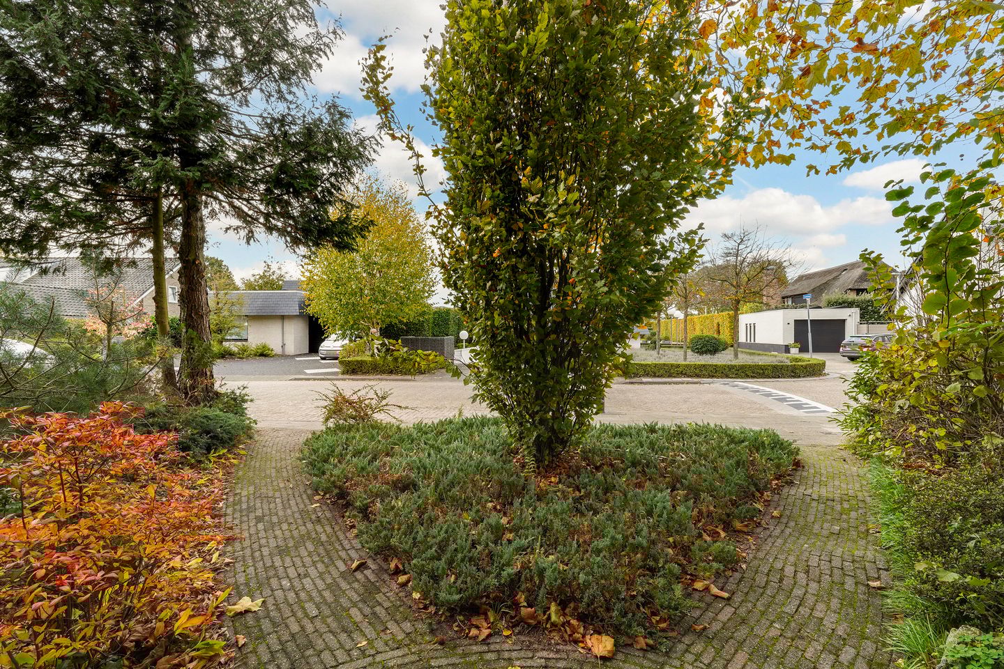 Photo 5 of Dintel 44