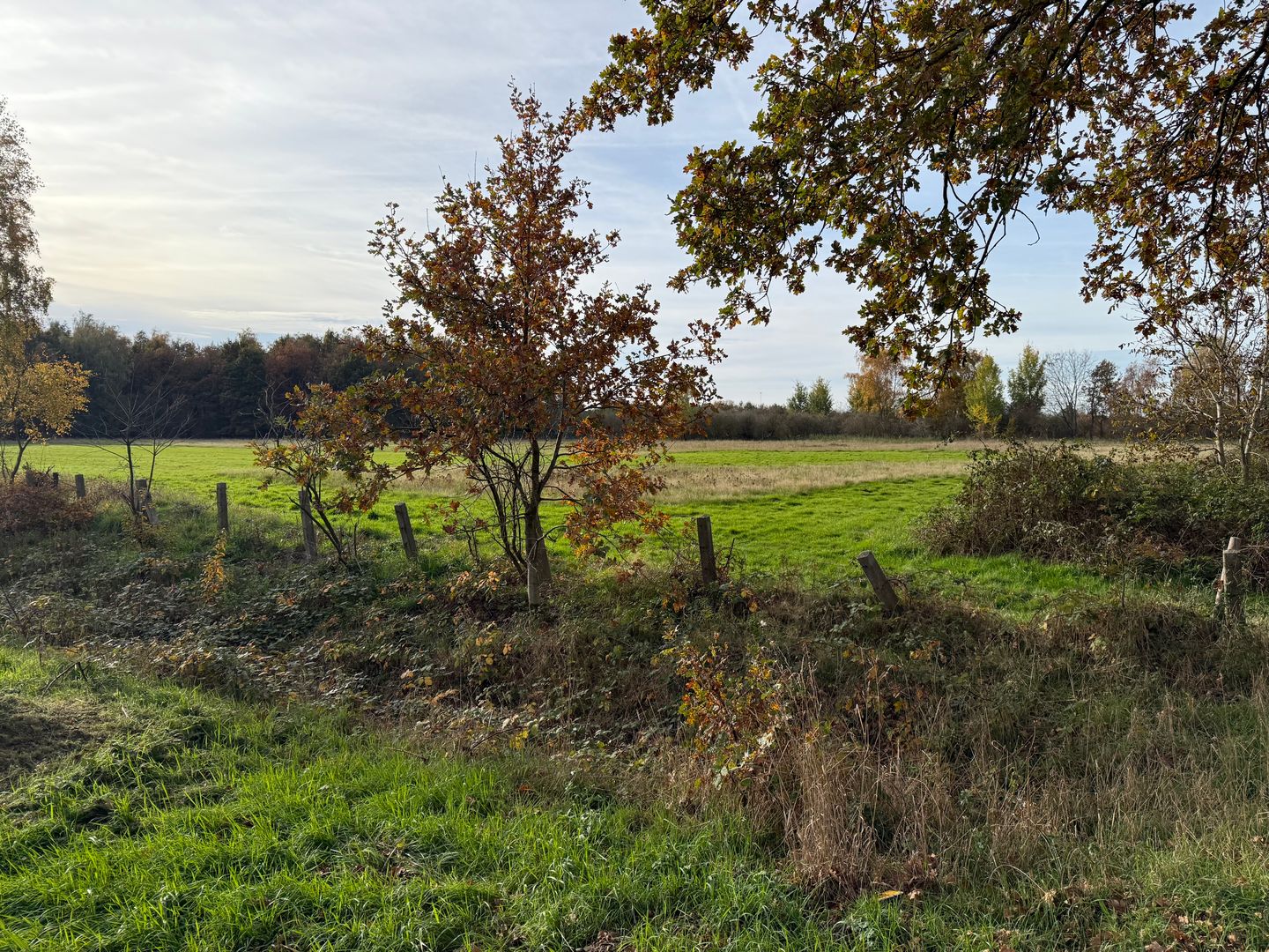 Photo 4 of Dintel 44