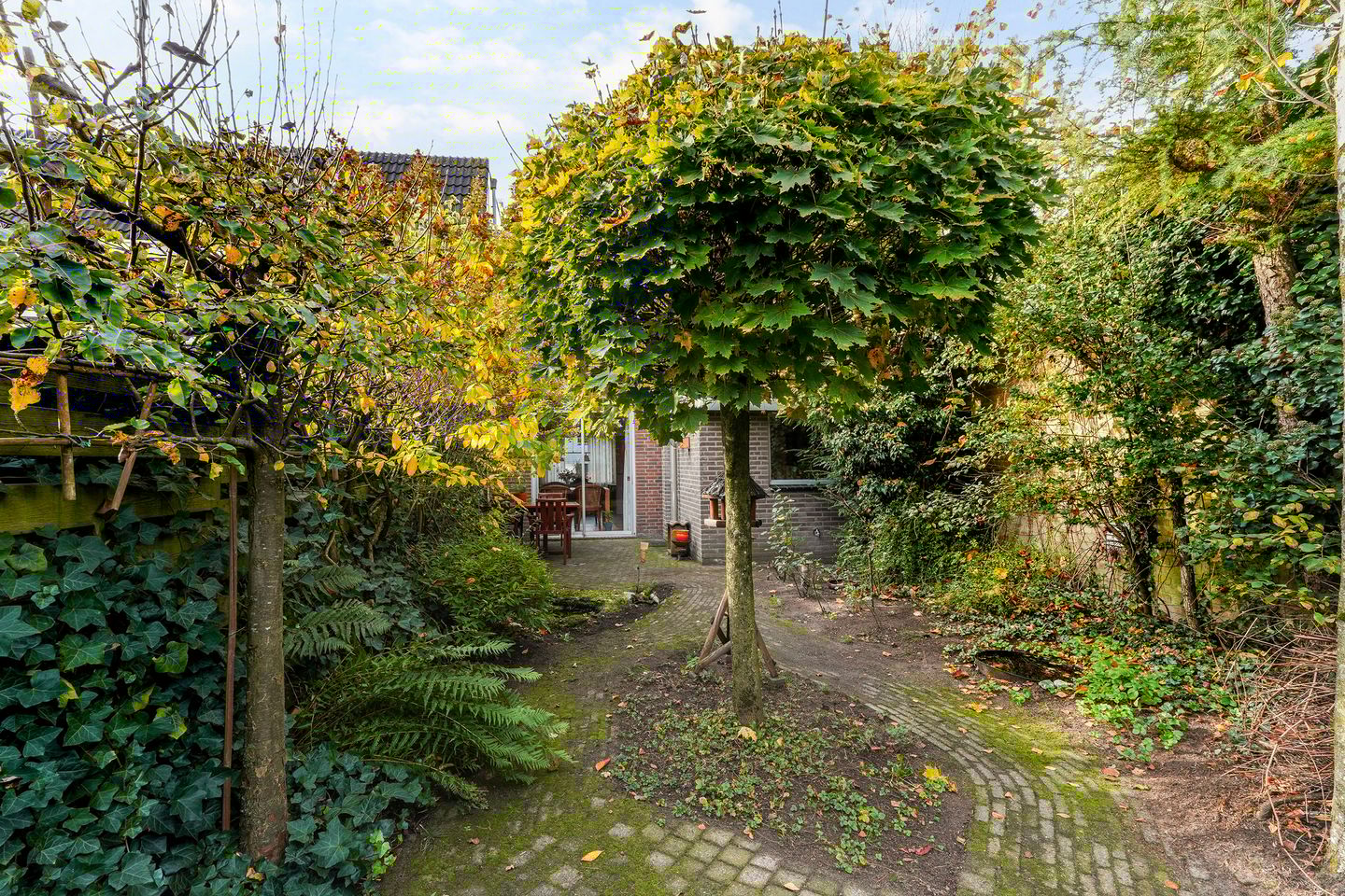 Photo 35 of Dintel 44