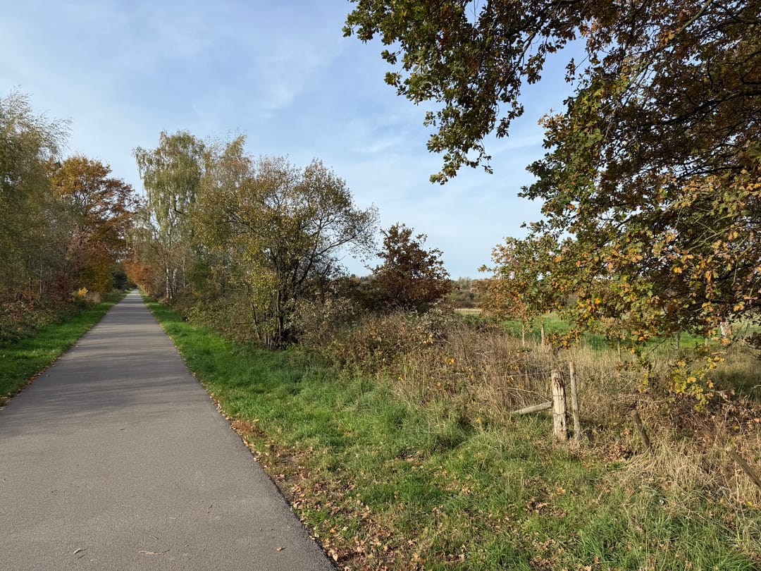 Photo 41 of Dintel 44