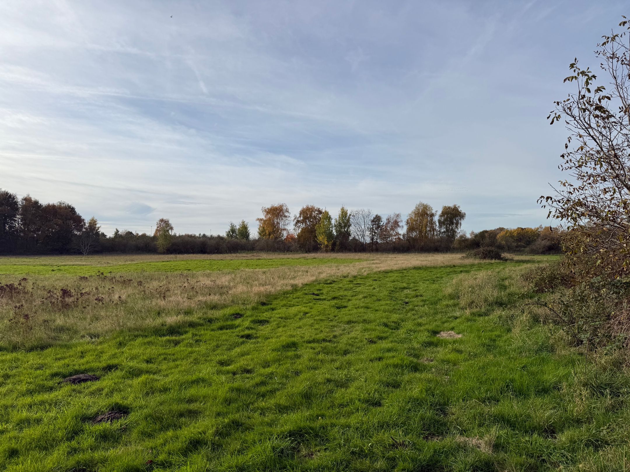 Photo 42 of Dintel 44