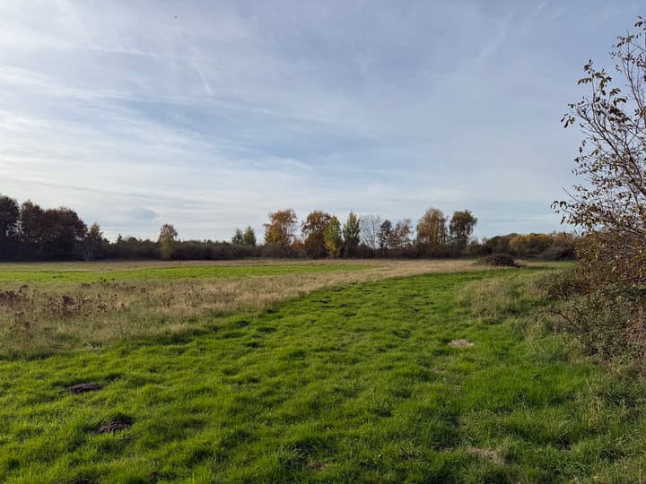 Photo 42 of Dintel 44