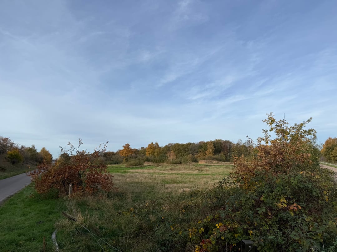 Photo 43 of Dintel 44