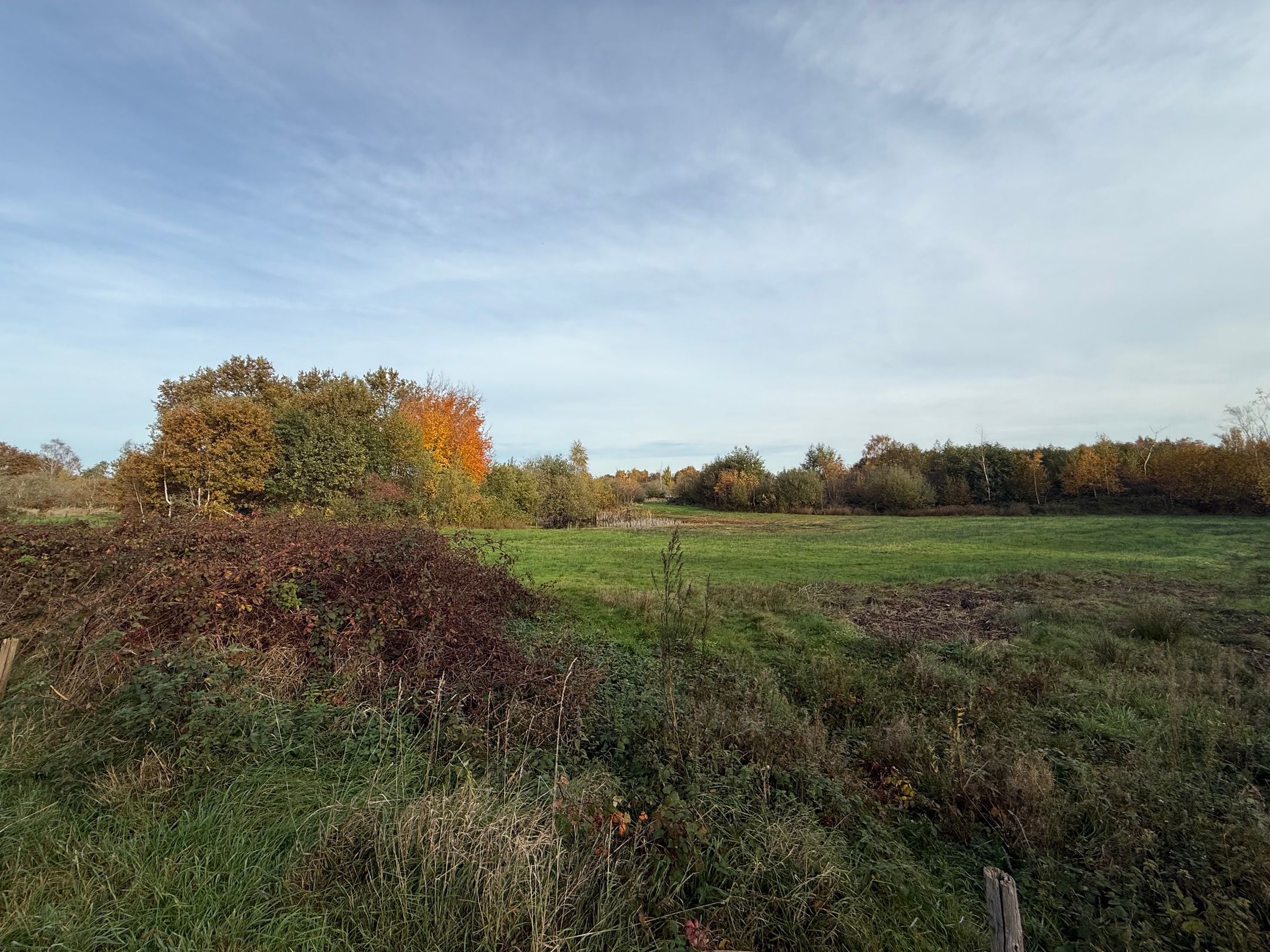 Photo 45 of Dintel 44