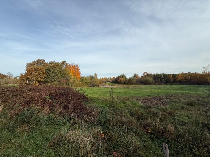 Photo 45 of Dintel 44