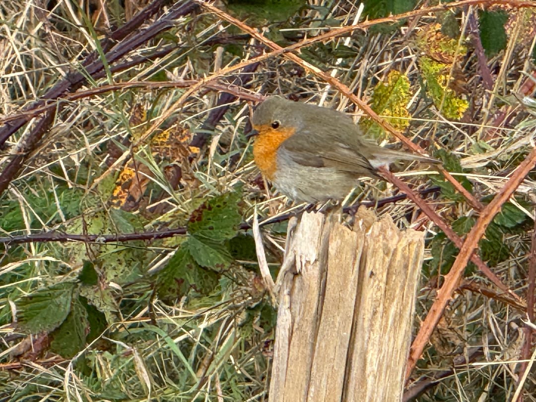 Photo 46 of Dintel 44