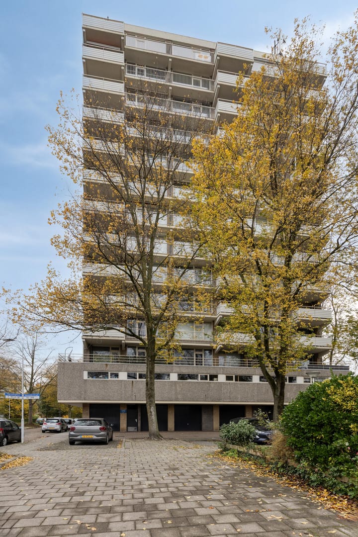 Photo 5 of Alexanderstraat 149