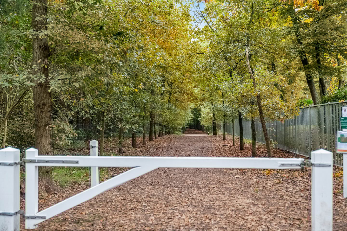 Foto 50 van Bosweg 13