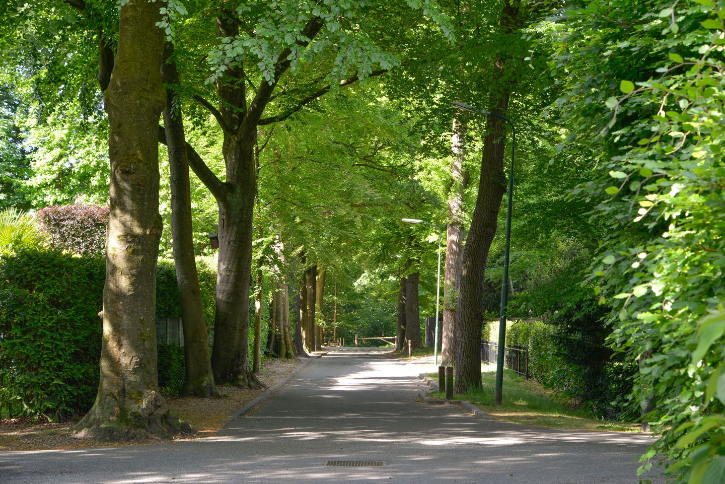 Foto 40 van Dillenburglaan 36