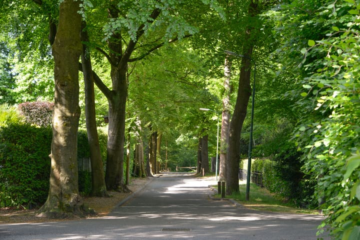 Photo 40 of Dillenburglaan 36