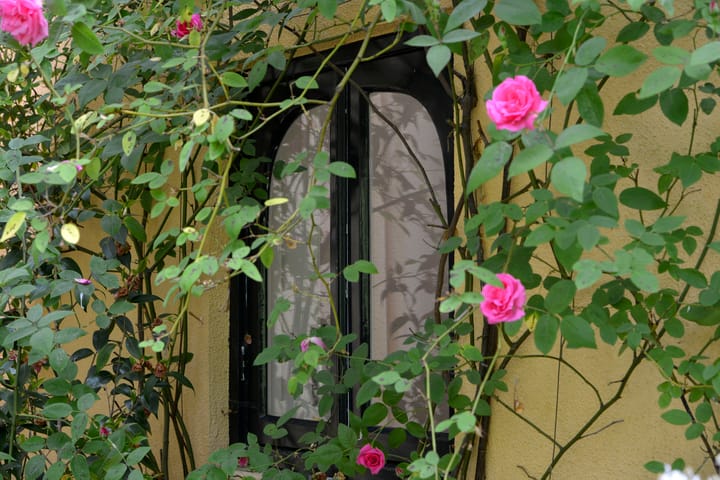 Photo 41 of Dillenburglaan 36