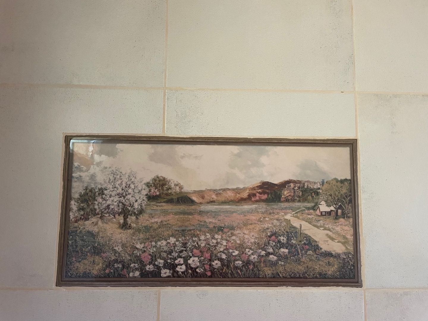 Photo 10 of Oarba de Mure? 64