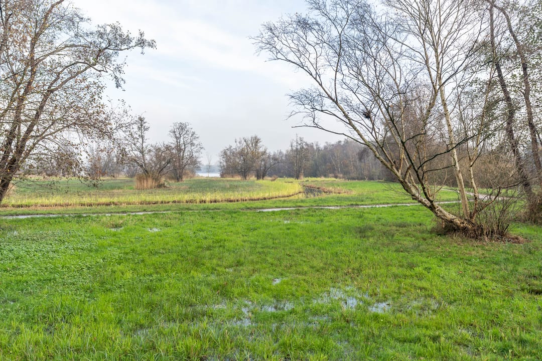 Foto 47 van Oosteinderweg 585