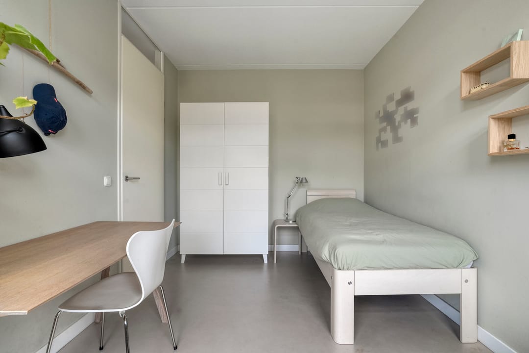 Photo 26 of Rhijnvis Feithlaan 54