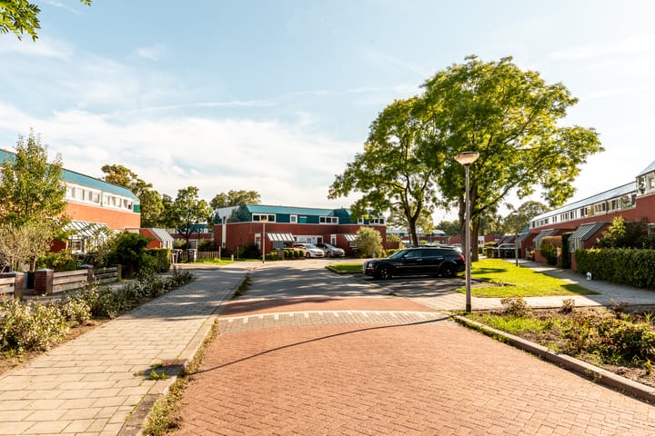 Foto 21 van Jol 24 20