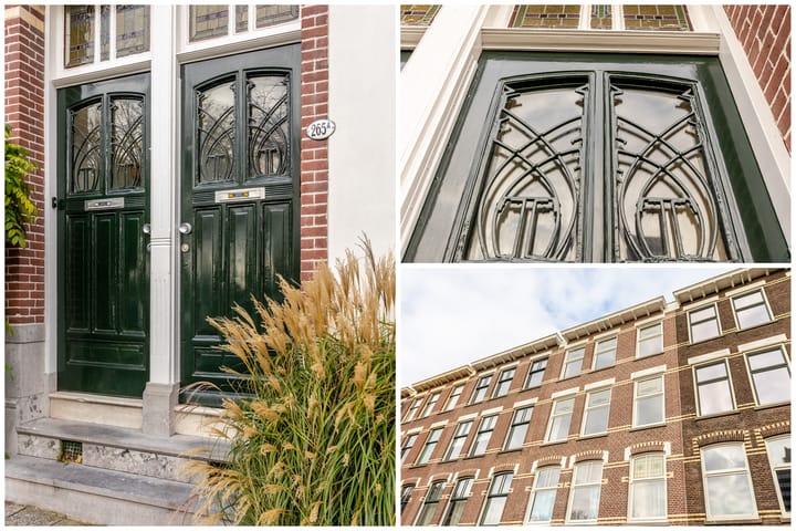 Foto 54 van Rochussenstraat 265-A