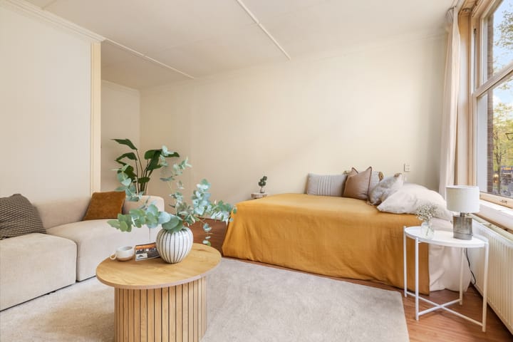 Foto 7 van Blasiusstraat 84-1