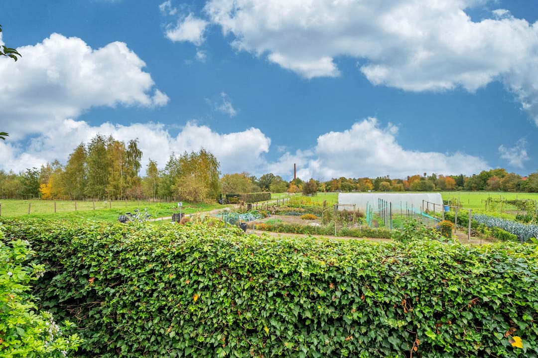 Photo 52 of Boskampstraat 32