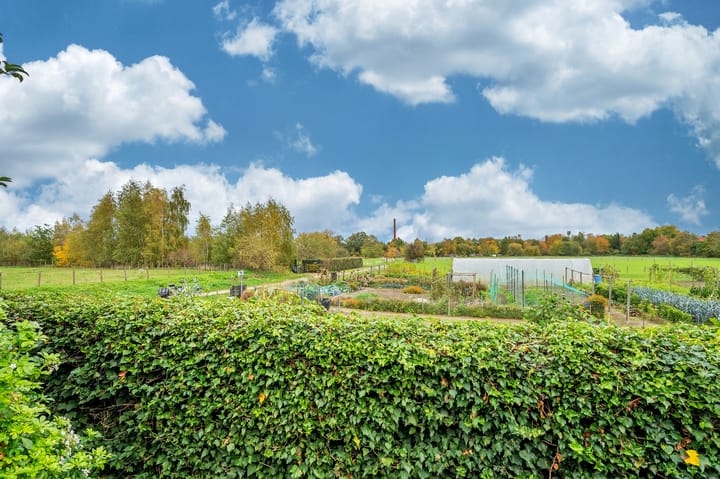 Photo 52 of Boskampstraat 32