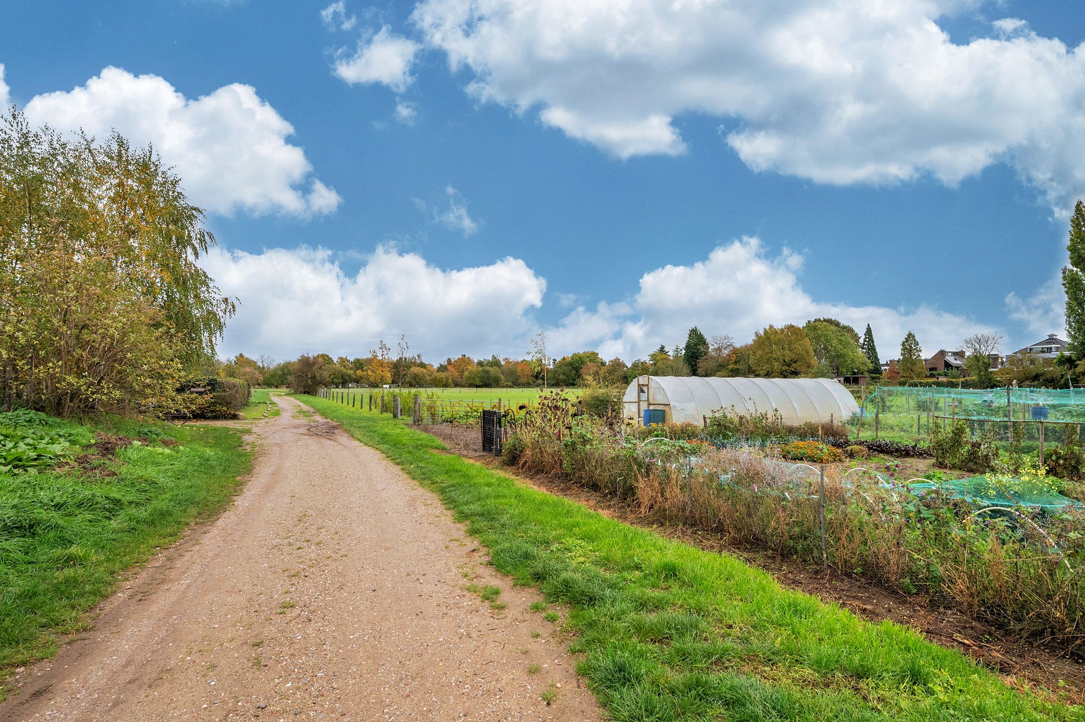 Photo 57 of Boskampstraat 32