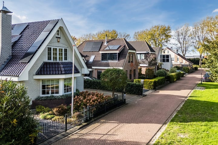 Photo 5 of Jaguar 15