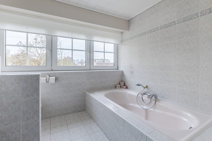 Photo 50 of Jaguar 15