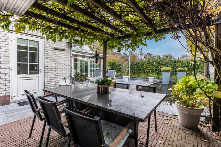 Photo 55 of Jaguar 15