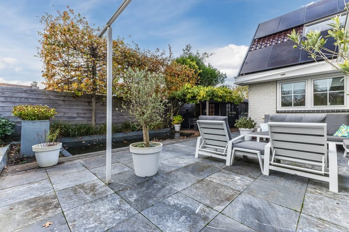 Photo 61 of Jaguar 15