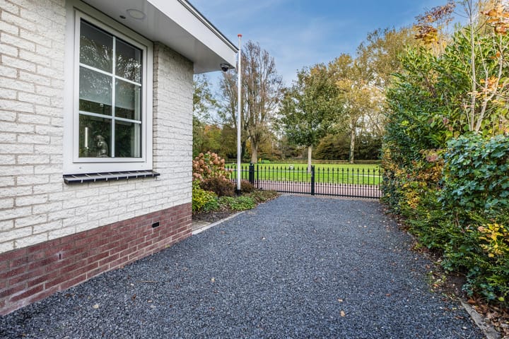 Photo 65 of Jaguar 15