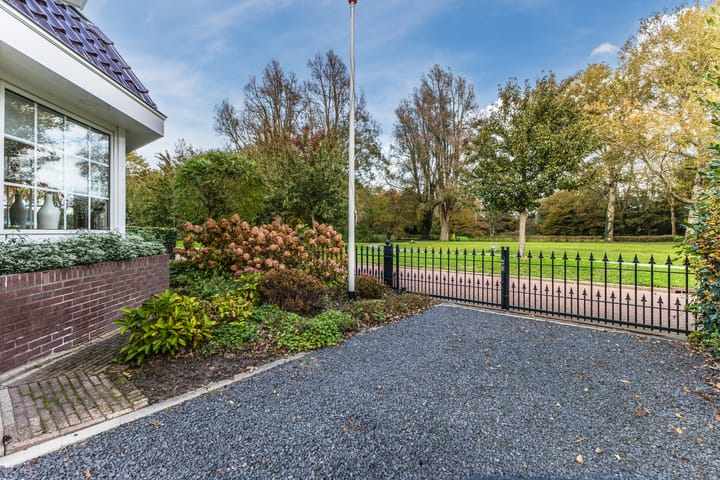 Photo 66 of Jaguar 15