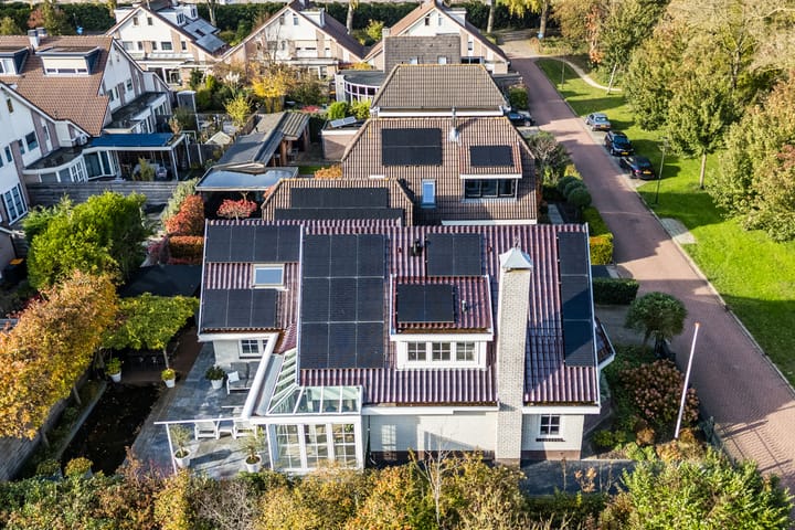 Photo 67 of Jaguar 15