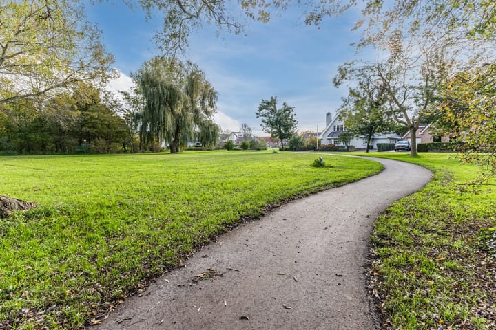 Photo 73 of Jaguar 15