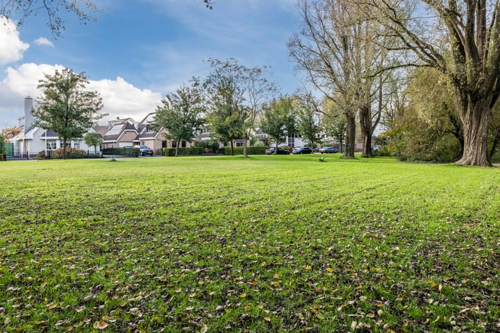 Photo 74 of Jaguar 15