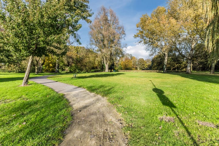 Photo 75 of Jaguar 15