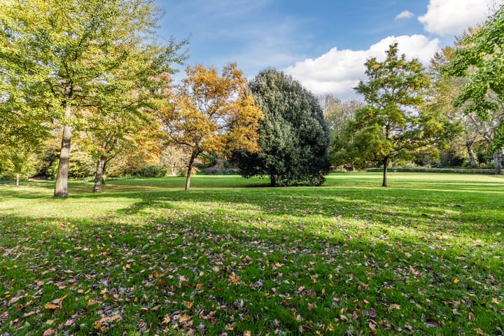 Photo 76 of Jaguar 15