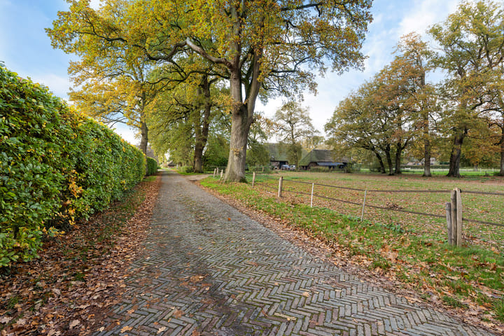 Foto 36 van Doemakkers 16