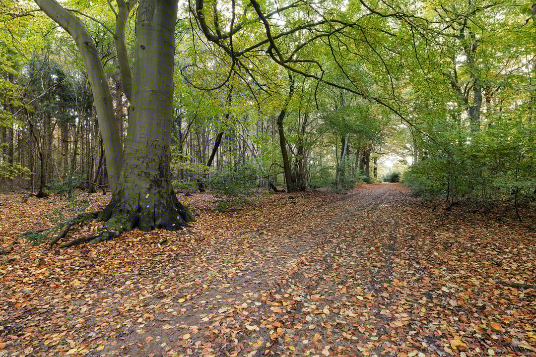 Foto 38 van Doemakkers 16