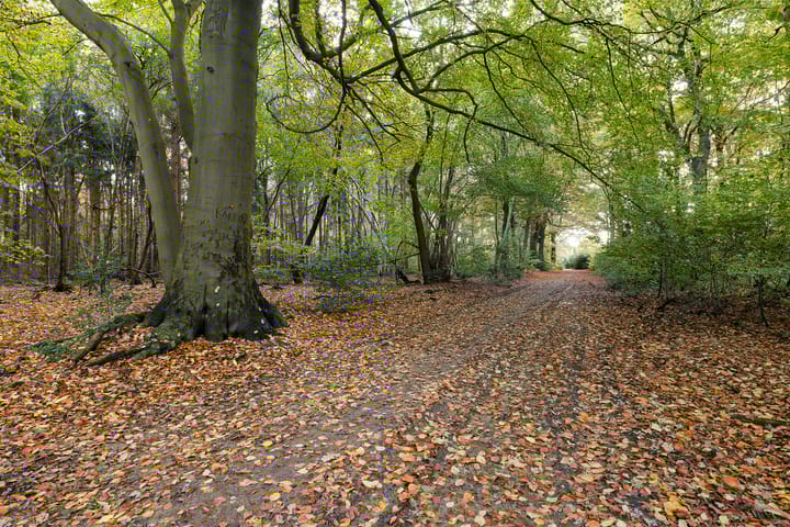 Foto 38 van Doemakkers 16