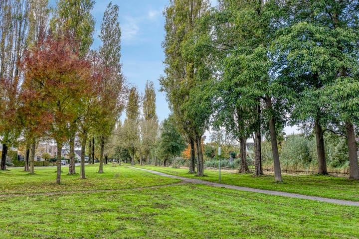 Foto 34 van Willem Coepijnstraat 6