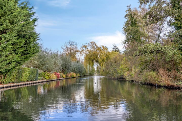 Foto 36 van Willem Coepijnstraat 6