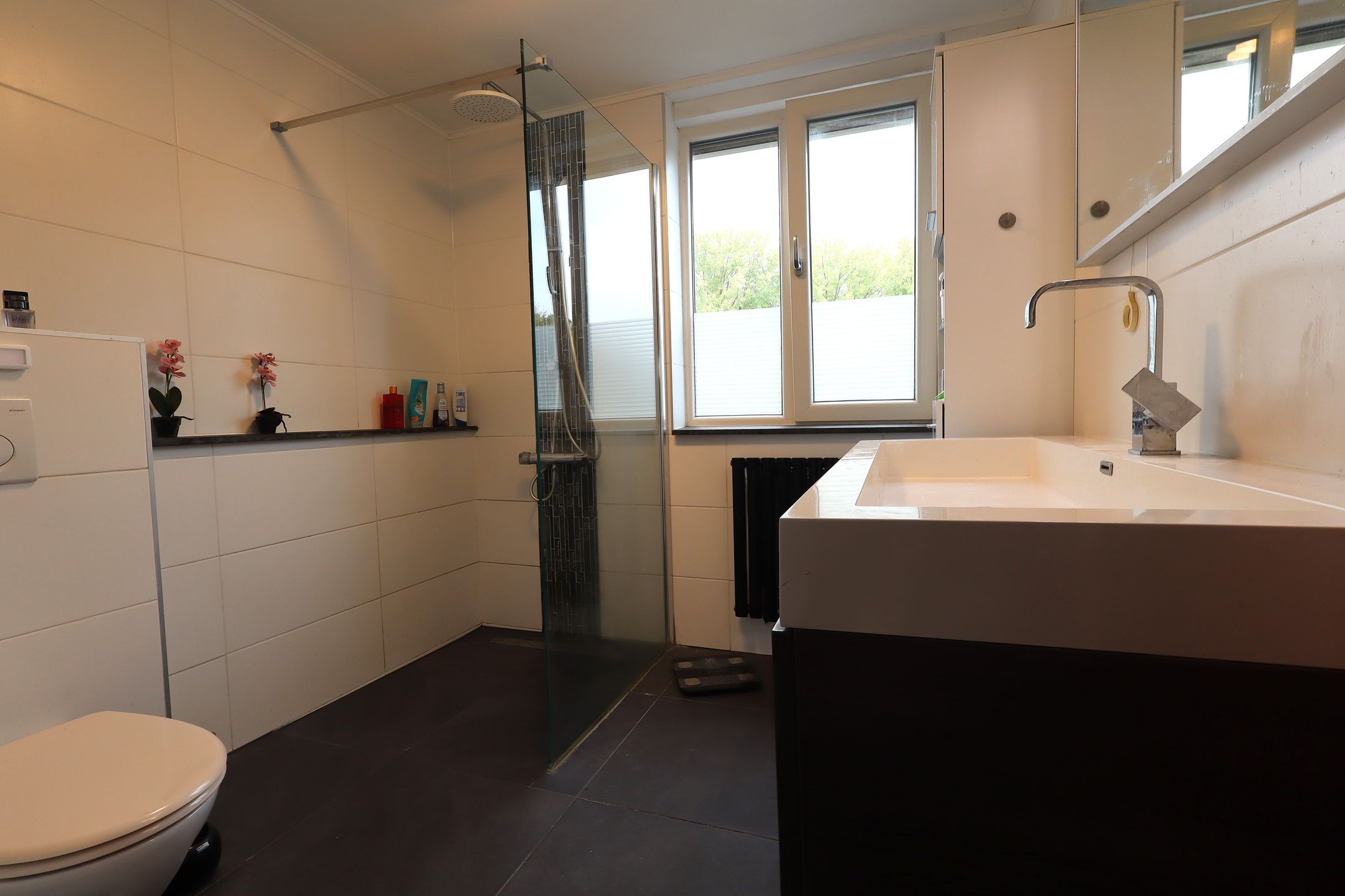 Foto 21 van Frans Halslaan 38