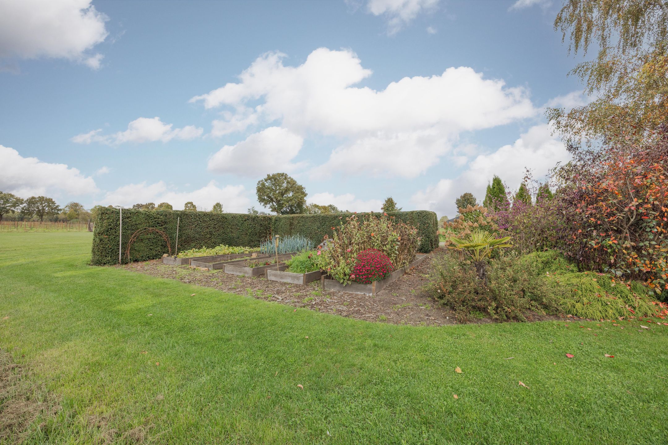 Photo 60 of Schiksedijk 15