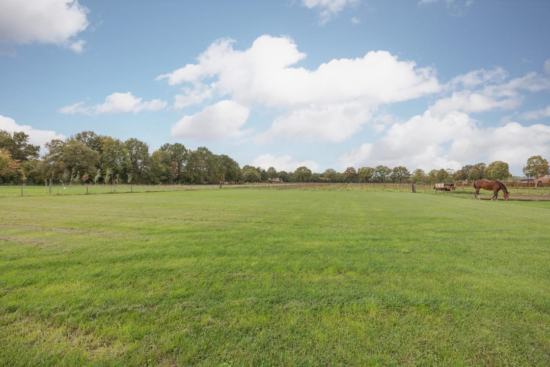 Photo 61 of Schiksedijk 15