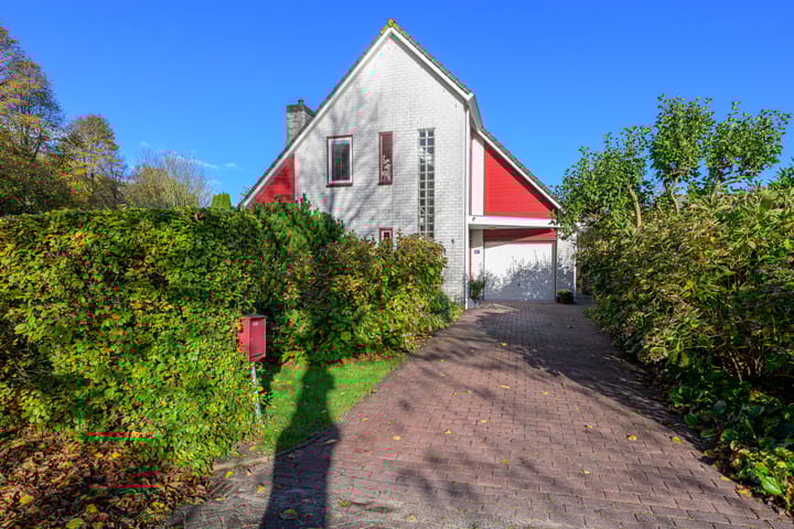 Schorrekruid 38 main image