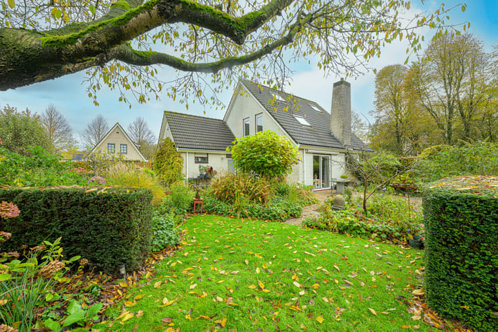 Photo 2 of Schorrekruid 38