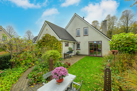 Schorrekruid 38 tertiary image